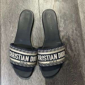 Christian Dior dway slides
